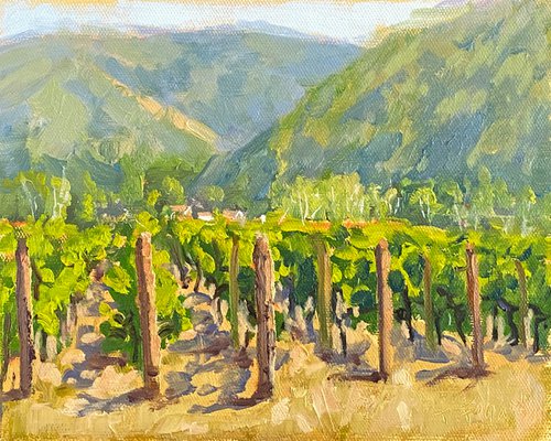 Bernardus Vineyards In Carmel Valley by Tatyana Fogarty