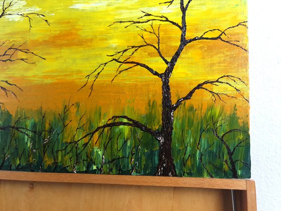 Trees near the field