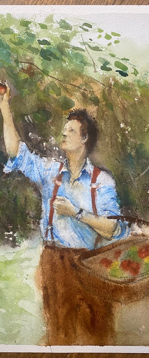 Monty in the orchard by Paul Mitchell