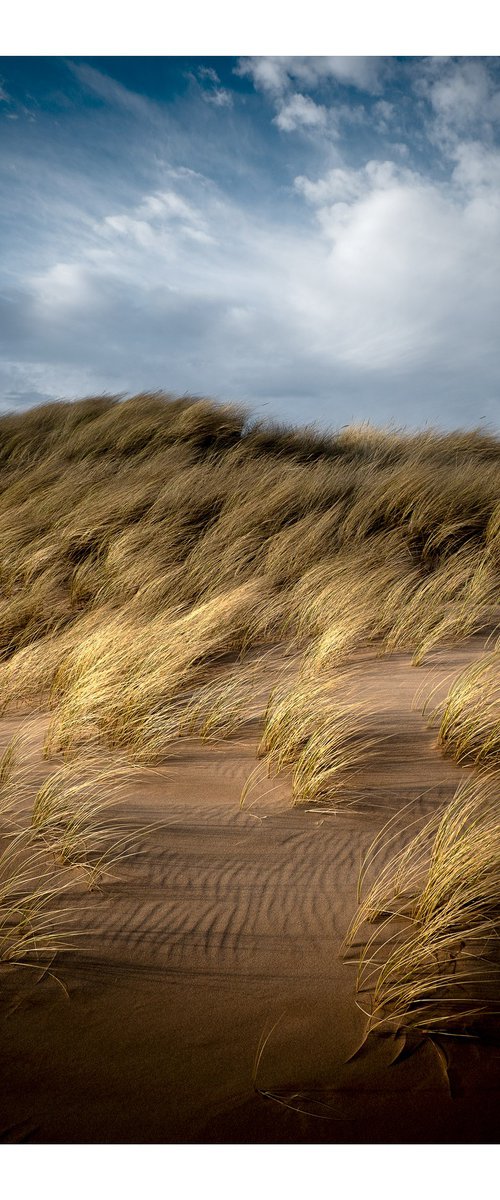 Dunes | Motion | III by David Baker