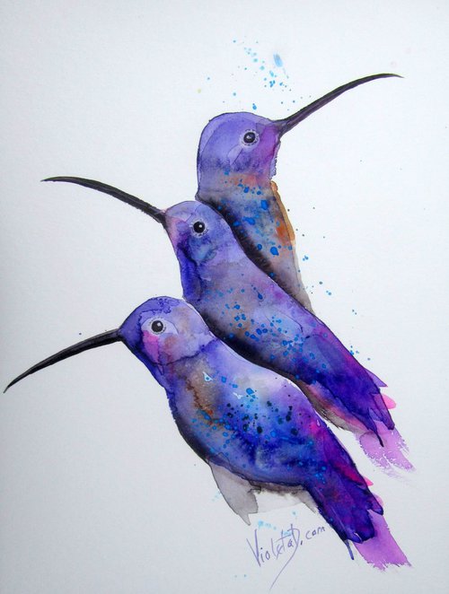 Hummingbirds 17 by Violeta Damjanovic-Behrendt