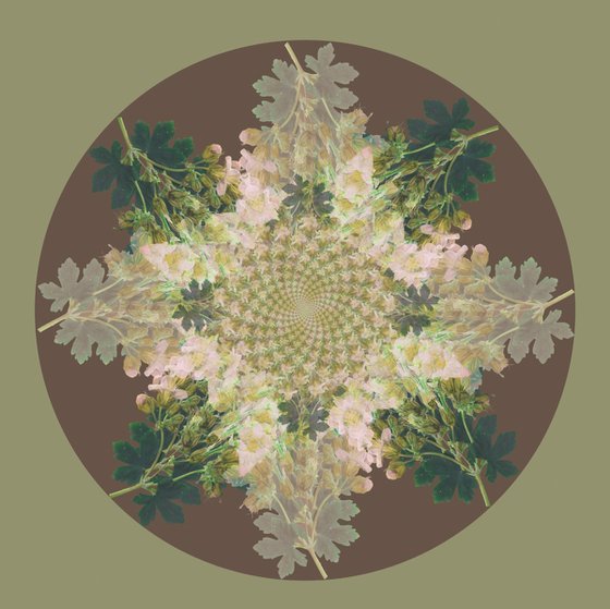 Botanical Mandala #2