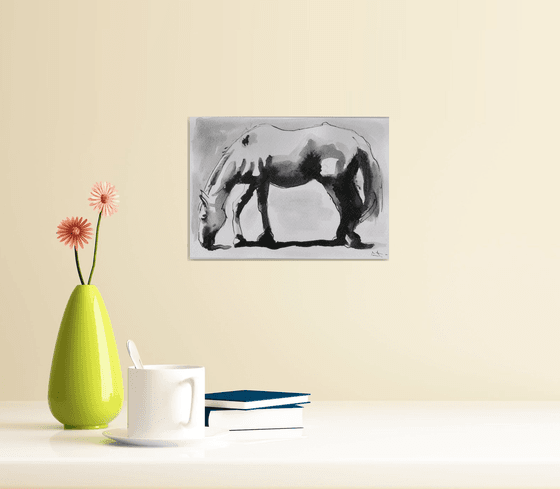 Horse study