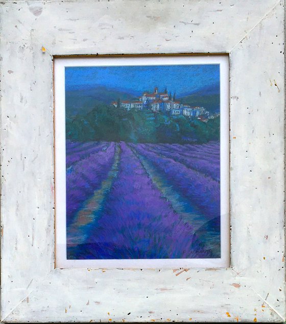 Lavender fields of France