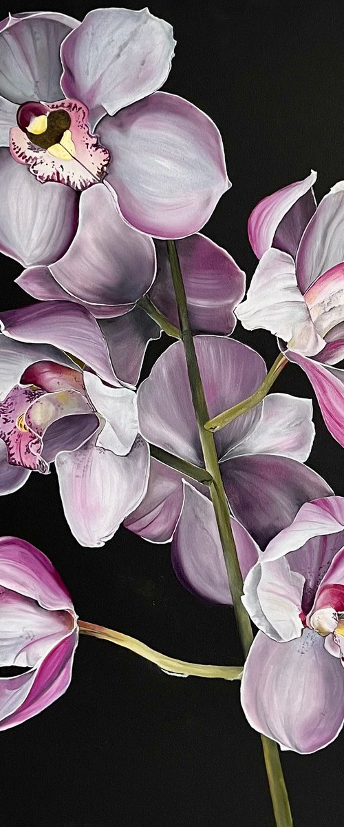 The orchid by Myroslava Denysyuk