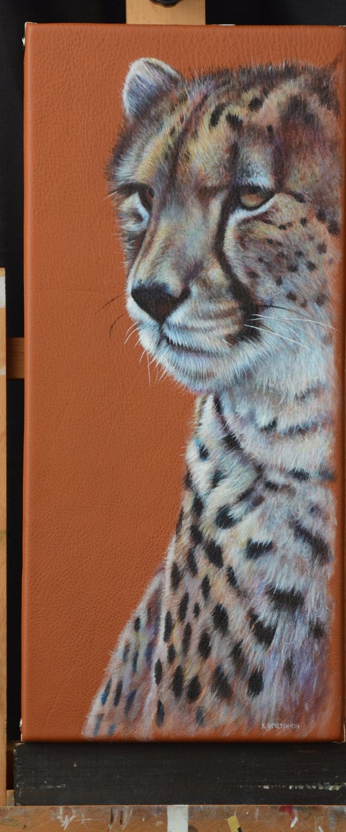 Watchful Cheetah by Karl Hamilton-Cox