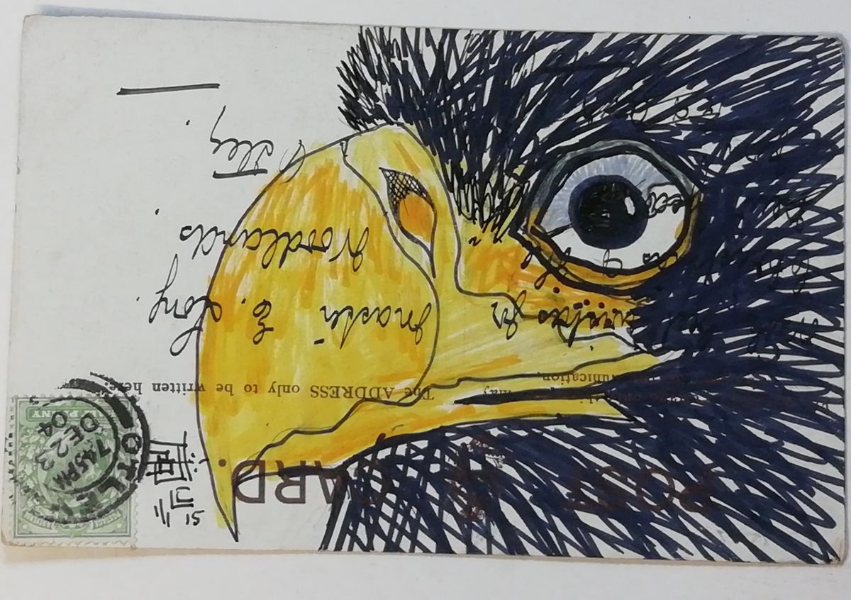 Yellow Beak Chick by Studio 25