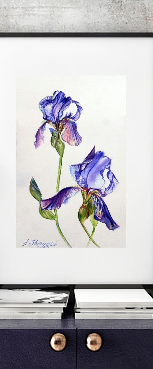 Purple irises Original watercolor painting, photorealistic stille, flowers, floral, botanical wall art by Alina Shmygol