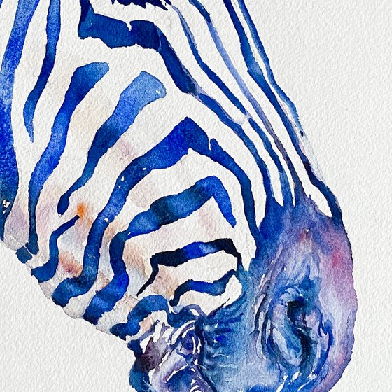 Blue Benz Zebra