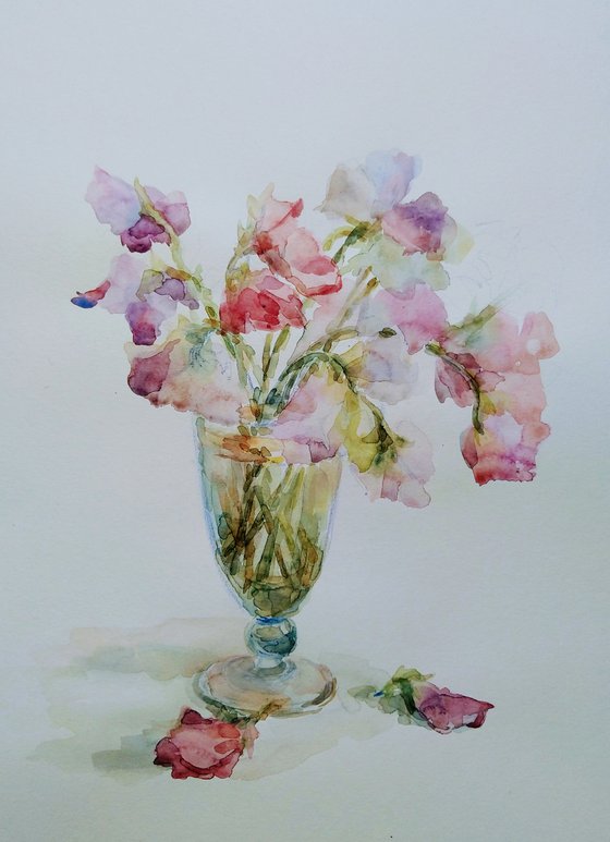 Sweet pea.  Original watercolour painting. 2021