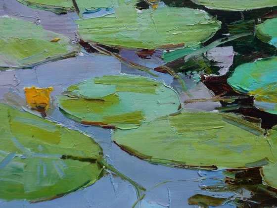 " water lilies  "