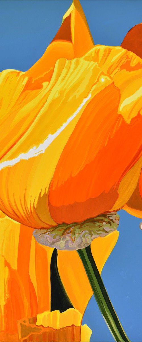 Californian Poppy and Wind #2 by Alex Nizovsky