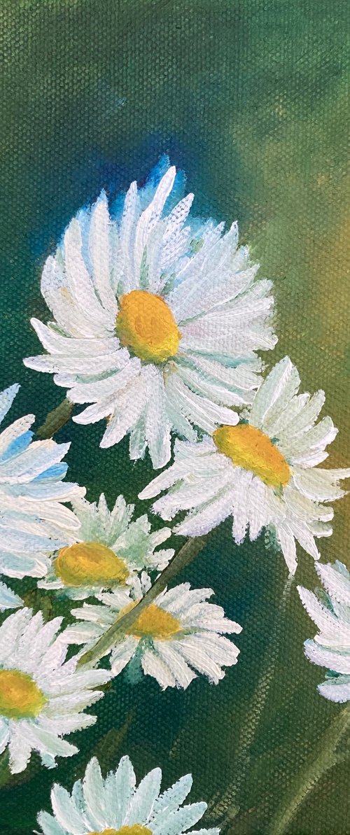 Daisy dance by Silvie Wright