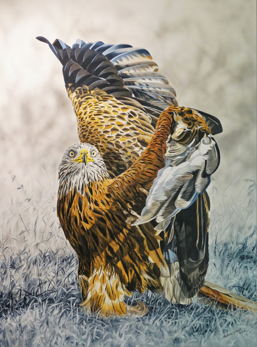 Photorealistic Animal Acrylic Painting By Julian Wheat, 29 X 39", Red Kite, Original Artwork