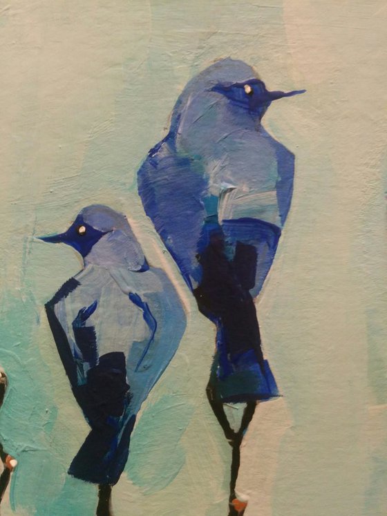 Little Blue Birds