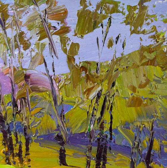 Mountain Flower Fields