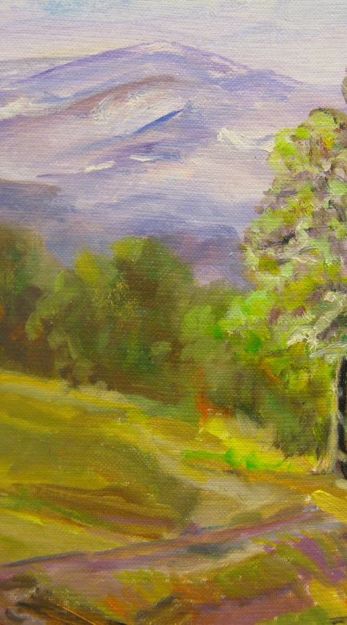 Mountain view with Lone Tree by Ella Bosse