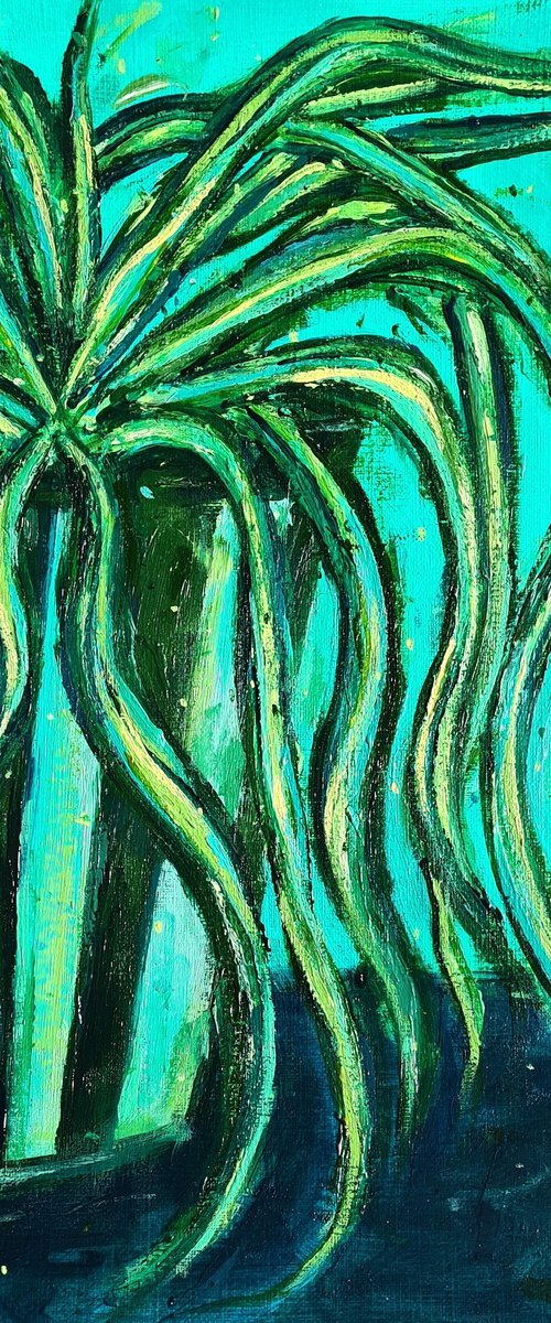 Spider Plant by Dawn Underwood