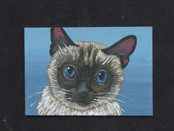 ACEO ATC Original Miniature Painting Siamese Kitten Pet Cat Art-Carla Smale