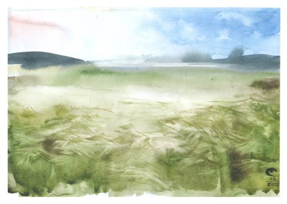 Feather grass, steppe, landscape.