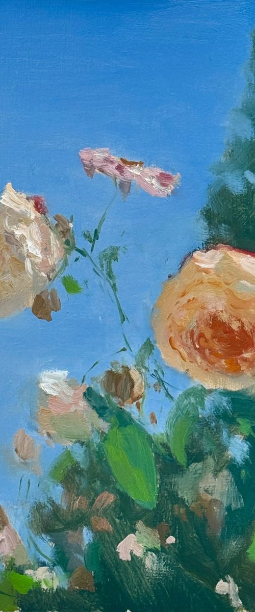 Roses in Mid-morning Light by Alex James Long