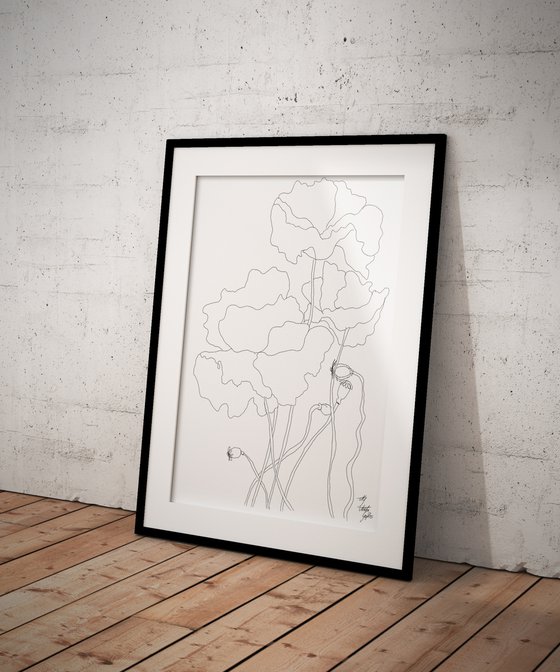 Poppies 1