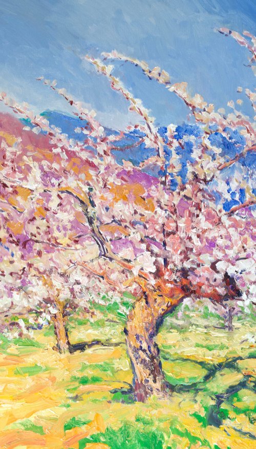 Blooming Apricot Trees, Spring by Suren Nersisyan