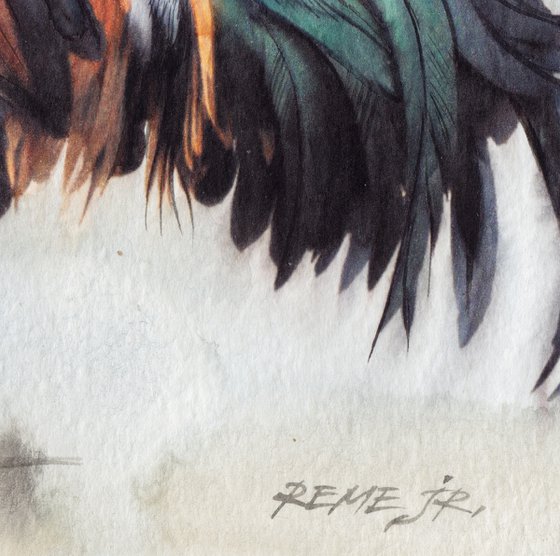 BIRD CLIII - Rooster