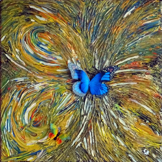 Golden blue butterfly