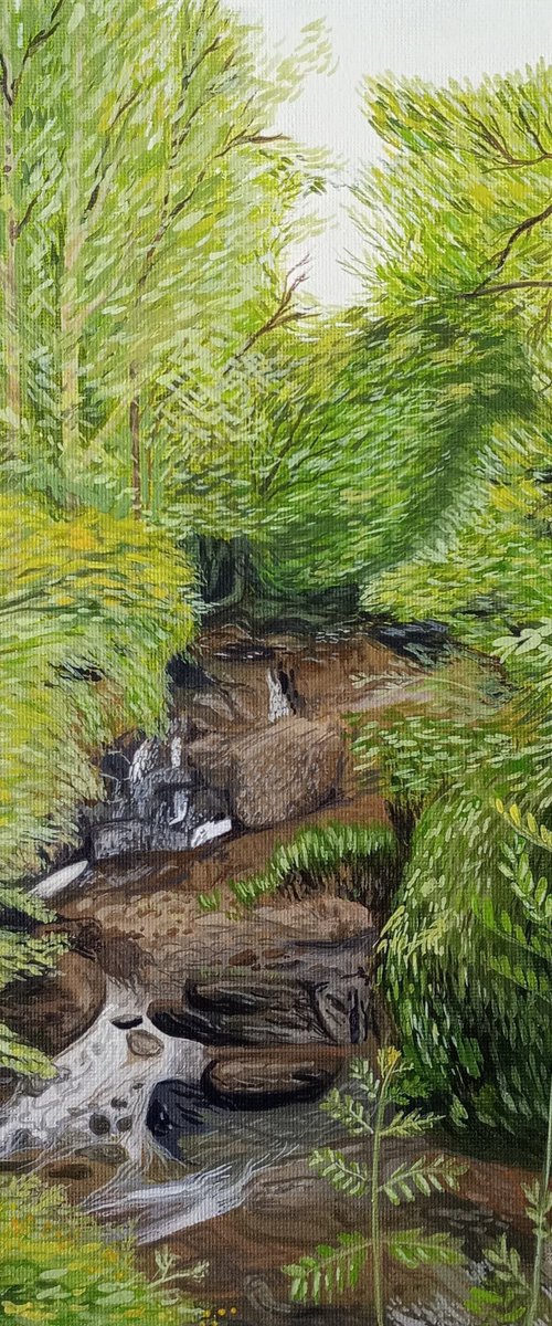 Forest stream - 10x12 in by Kitty  Cooper