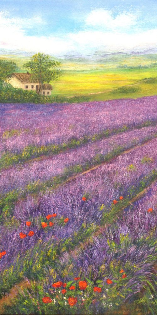 Lavender field  Provence by Ludmilla Ukrow