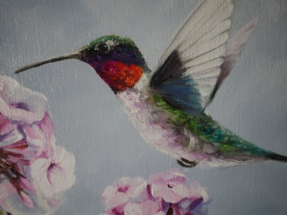 Hummingbird and a Pink Flower