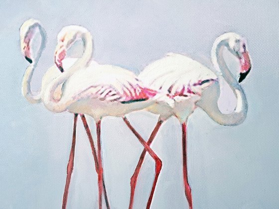 LONG-LEGGED GRACES