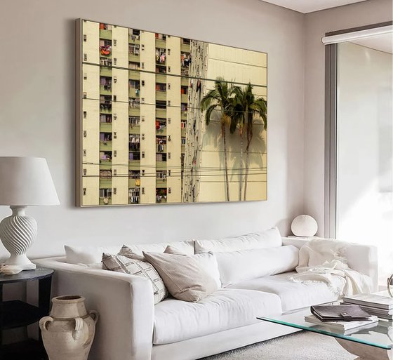 Concrete, Palm Trees and Power Lines