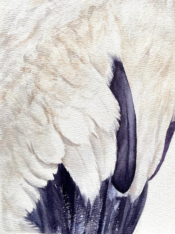 Wood Stork Watercolor Portrait