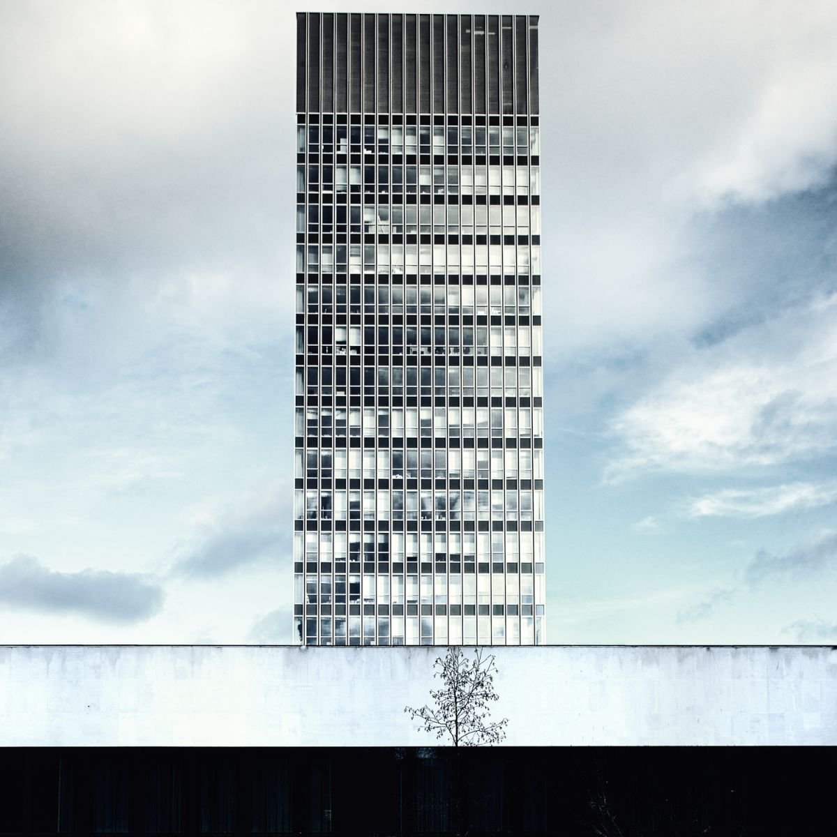 The Arts Tower - Sheffield by Daniel Cook