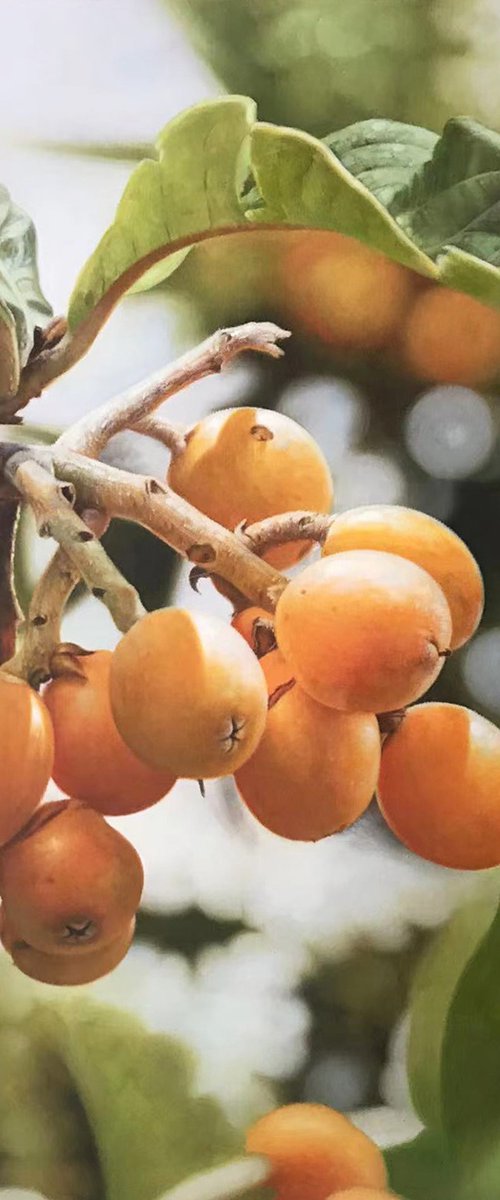 Still life:Loquats on the branches by Kunlong Wang