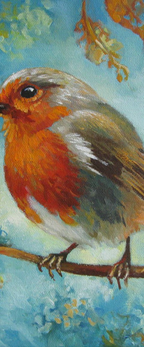 Robin by Elena Oleniuc