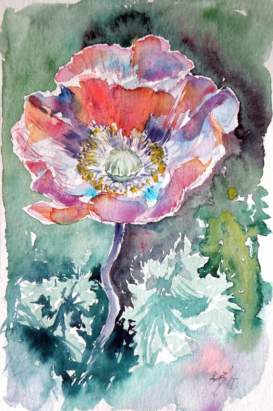 Poppy