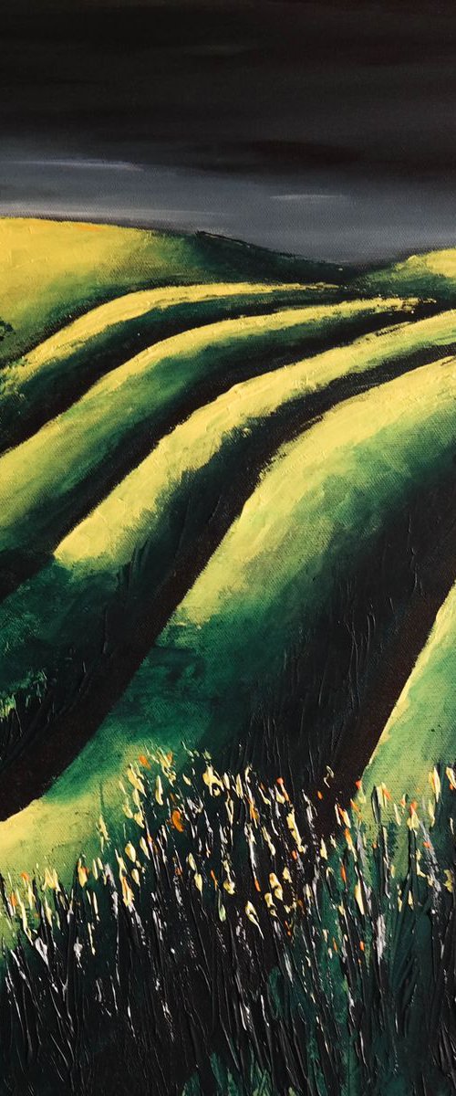 Lonely Tree and the  Fields - Fields and Colors Series by Danijela Dan