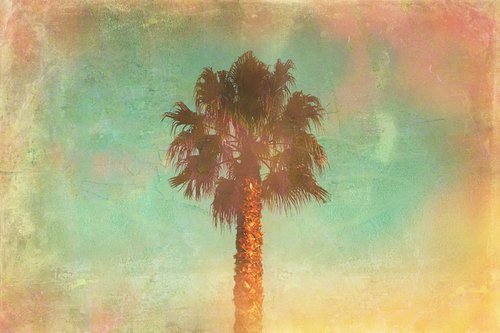 Palm sunshine pink by Nadia Attura