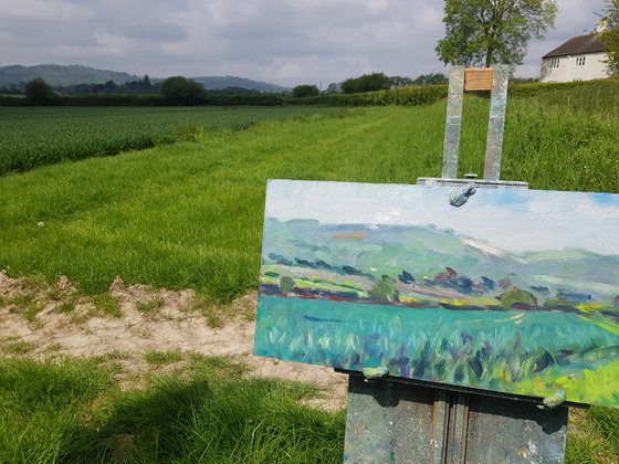 Downs near Bignor