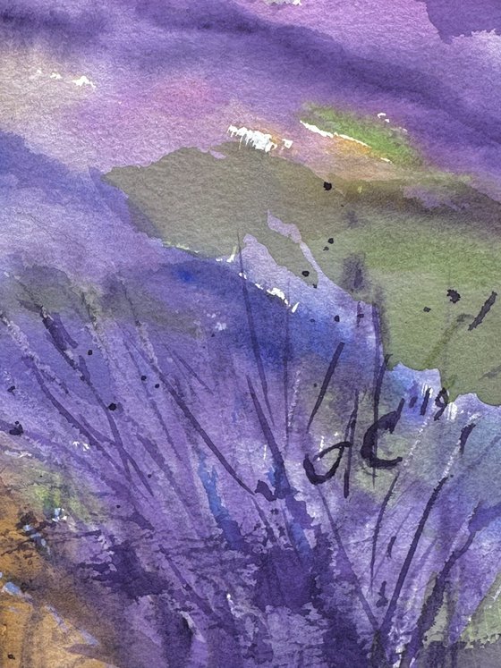 Fields of Provence 2