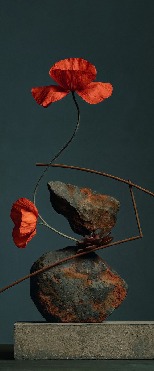 EQUILIBRIUM  - studio edition by Inna Etuvgi