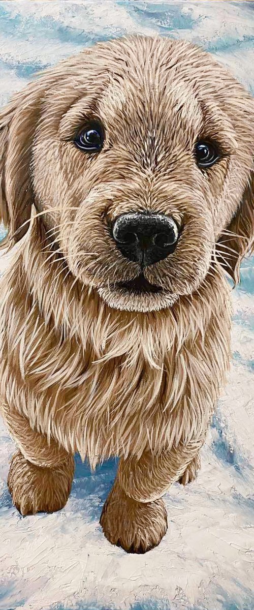 Golden Retriever Puppy by Elena Adele Dmitrenko
