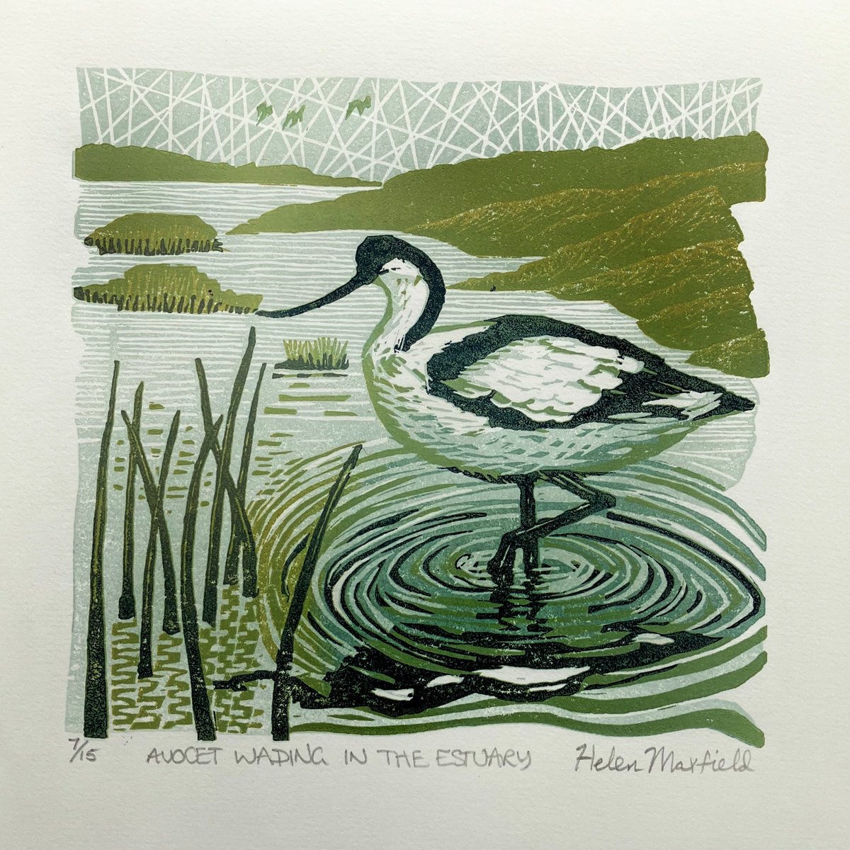 Avocet wading in the Estuary by Helen Maxfield