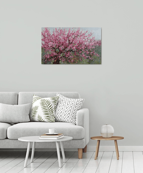 Blooming Peach Tree