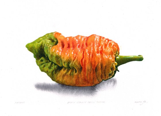 Brain Strain Chili Pepper