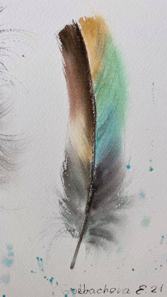 Feathers #5