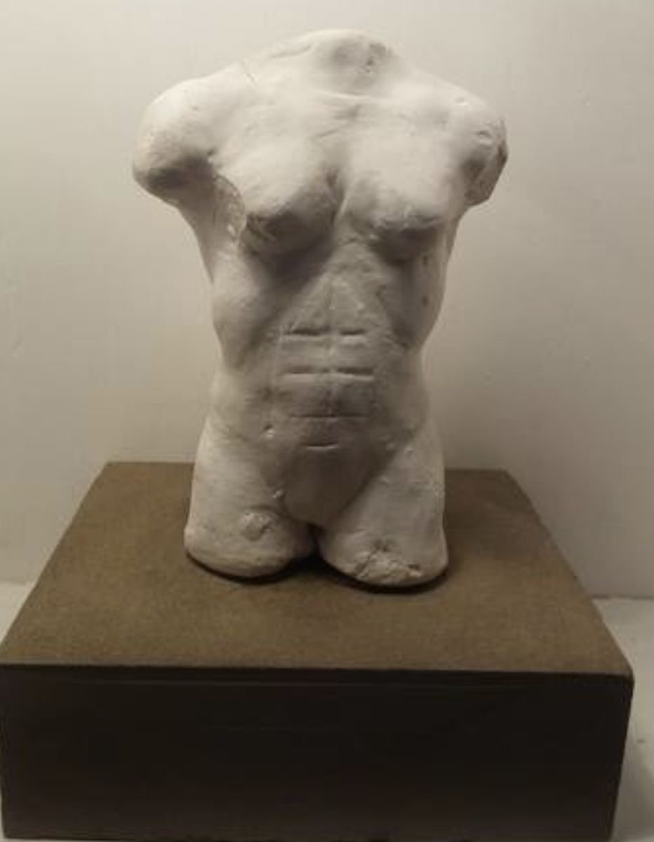 Broken bodies -Torso by Marcin Biesek